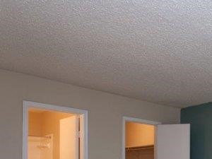 Springfield Apartment Homes Mesquite, TX Bedroom with Accent Wall